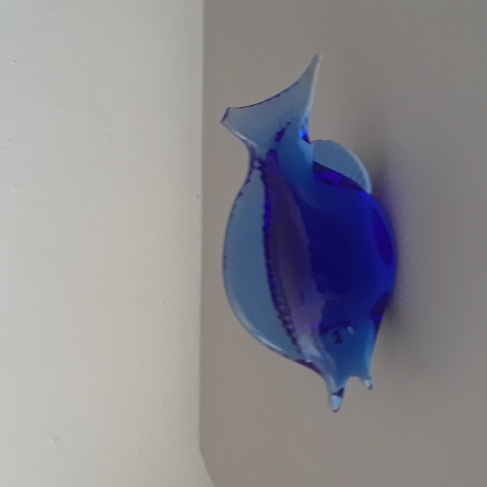 Beautiful Glass Fish - Picture 2 of 3